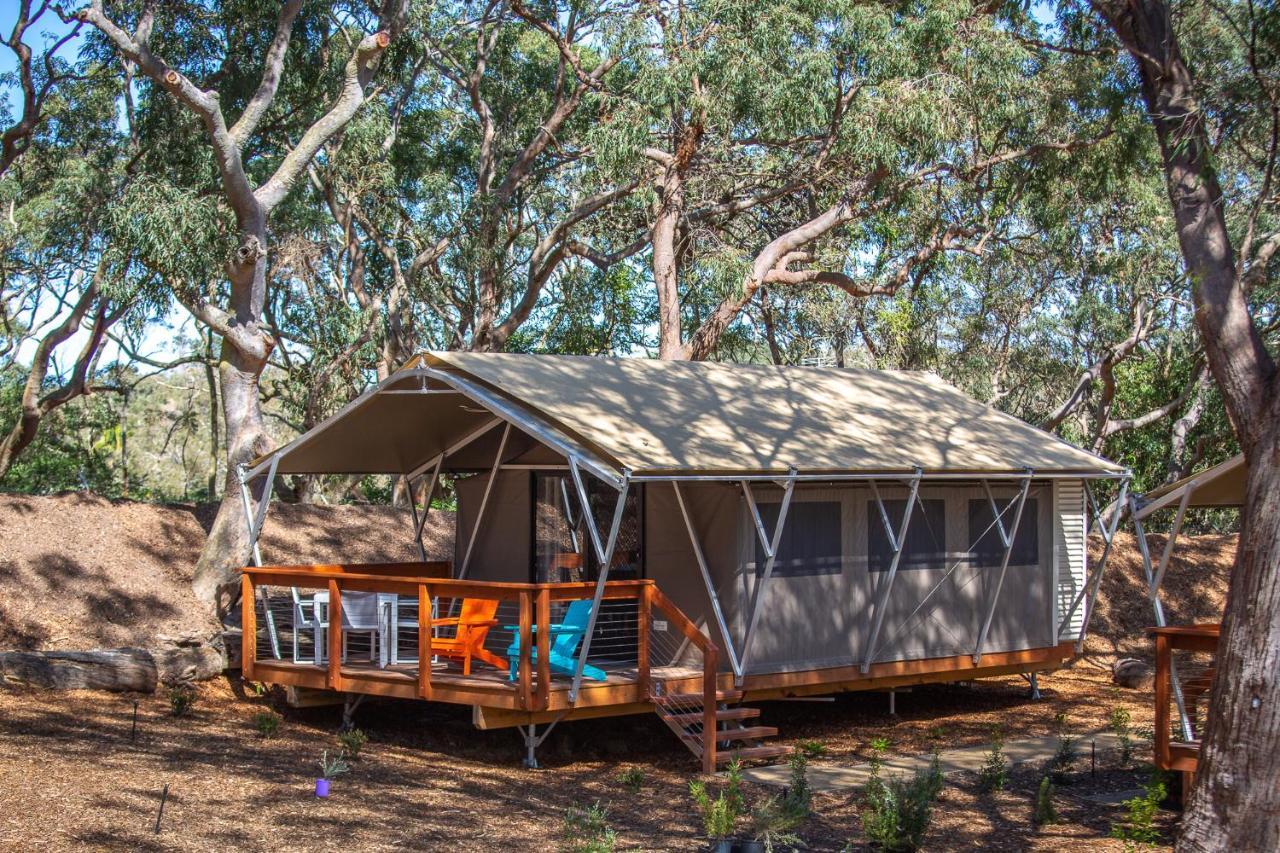 Holiday park Port Stephens Koala Sanctuary One Mile