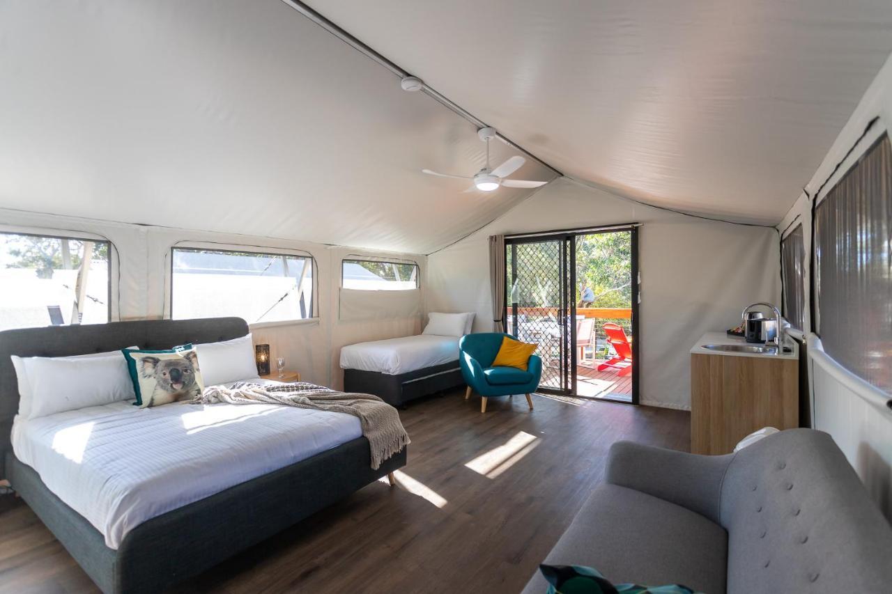Holiday park Port Stephens Koala Sanctuary