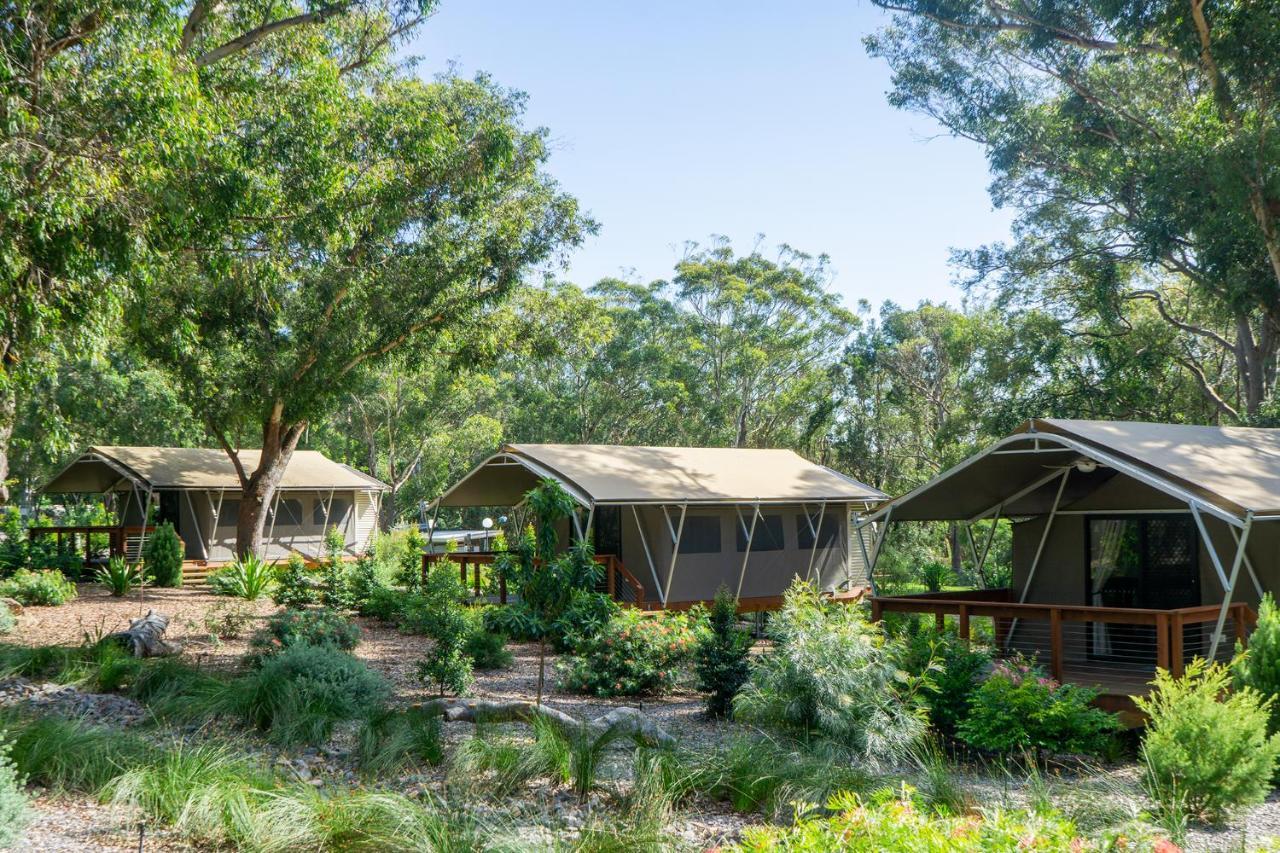 Port Stephens Koala Sanctuary 4*