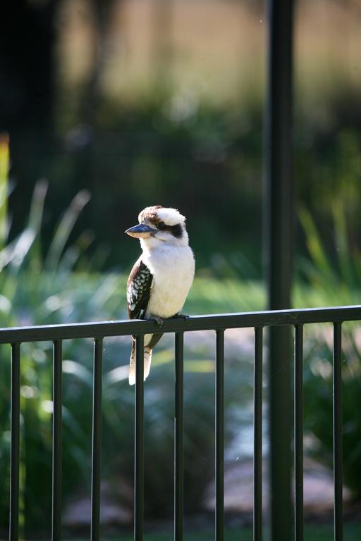 Port Stephens Koala Sanctuary 4* One Mile